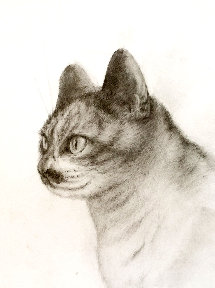 ǭ���ǥå���