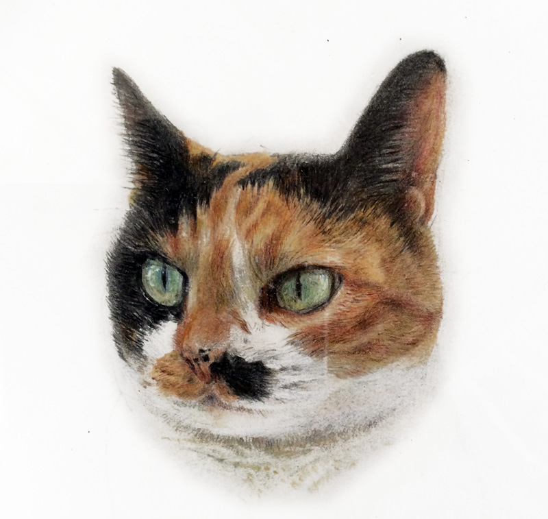 ǭ������ɮ�ǥå���