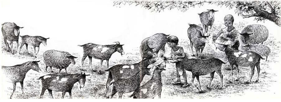 �Ϥʤߤ������趵����ͽ��