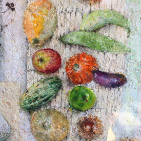 ���̺��ʡ���ʪ����������